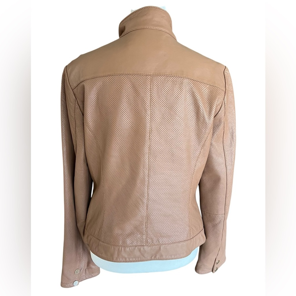 White House Black Market Light Mocha 100% Leather Perforated Moto Jacket Sz S - Picture 5 of 11